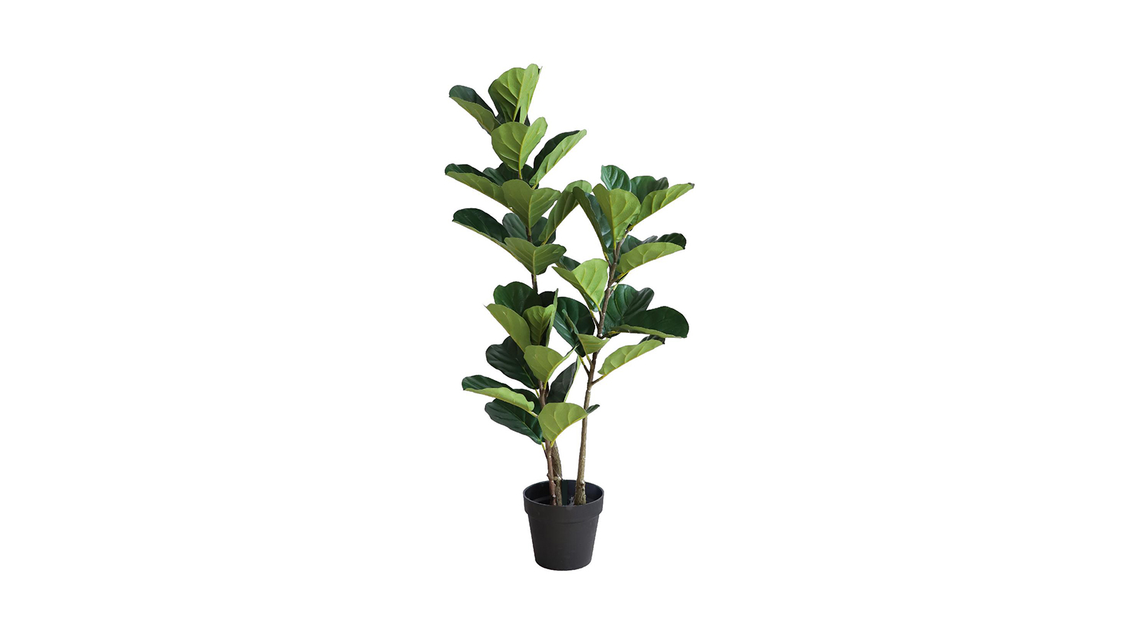 Fiddle Leaf Tree A623120 Fiddle Leaf Tree A623120