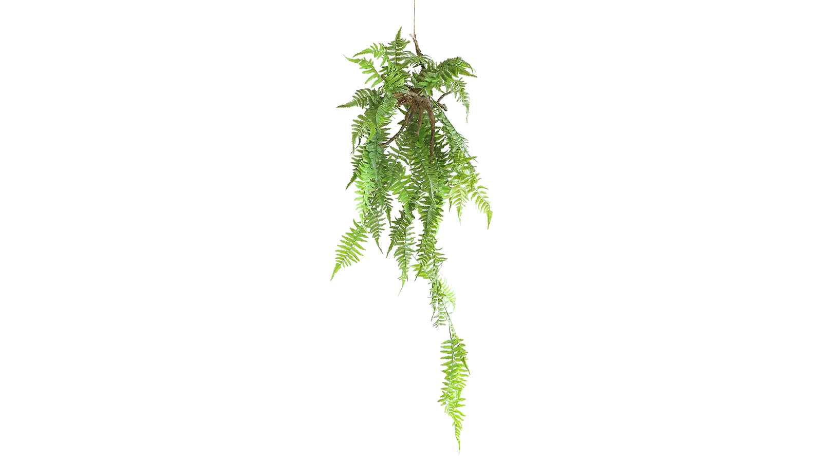 Hanging Plant HA08125 Hanging Plant HA08125
