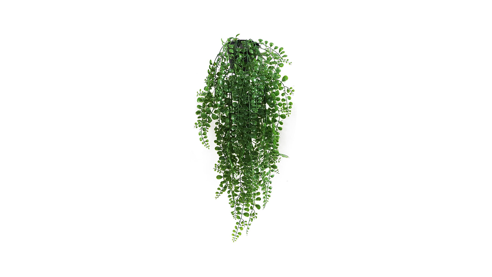Potted Hanging Plant Potted Hanging Plant