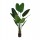 Plants and Pots