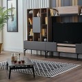 Lucida Tv Unit