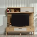 Mitra Tv Unit